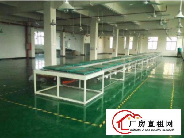 
清溪凤岗标准厂房一楼1800平出租水电齐全空地大无分摊面积