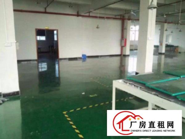 
清溪凤岗标准厂房一楼1800平出租水电齐全空地大无分摊面积