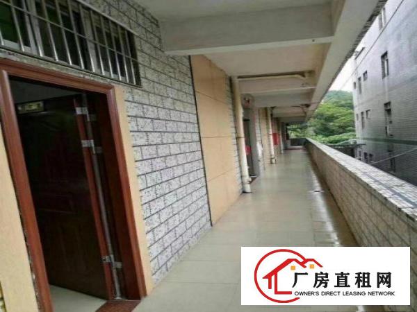 
清溪松岗原房东独院厂房7500平米出租，带电梯，宿舍按需