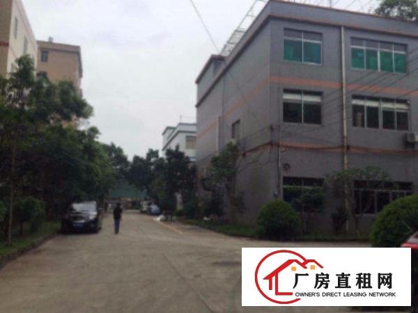
清溪塘厦科苑城标准厂房一楼800平出租水电齐全空地大