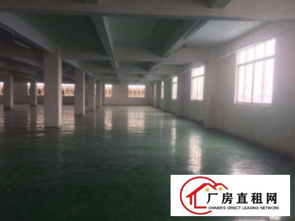 
清溪塘厦科苑城标准厂房一楼800平出租水电齐全空地大