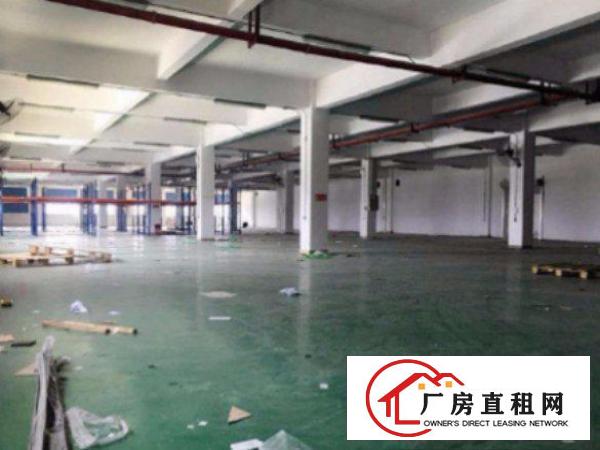 
清溪镇中心区标准厂房一楼600平出租水电齐全空地大