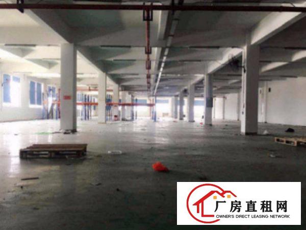 
清溪镇中心区标准厂房一楼600平出租水电齐全空地大