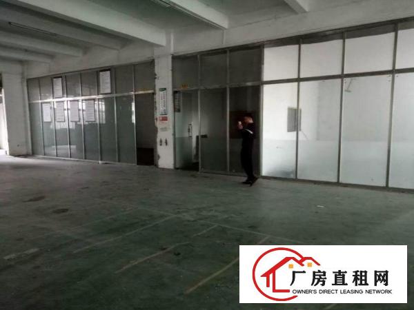 
清溪铁松标准厂房一楼850平层高6米带精装办公室