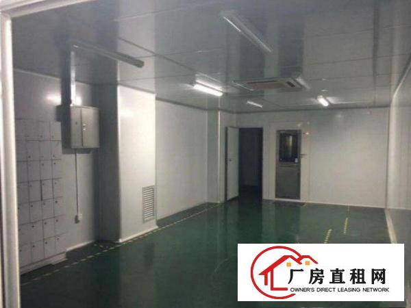 
清溪青皇原房东厂房1500平整层带装修厂房出租
