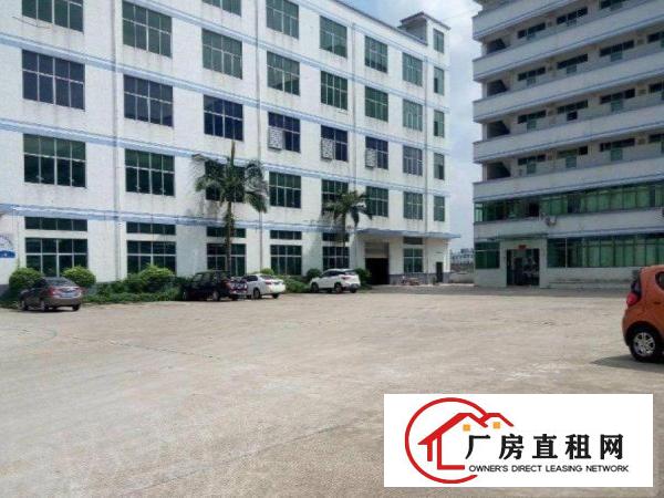 
清溪青皇原房东厂房1500平整层带装修厂房出租
