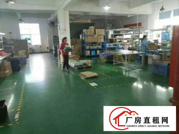 
清溪土桥新出原房东楼上1200平方带装修厂房招租