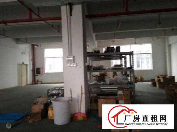 
清溪大利三楼500平米带办公室装修厂房出租，空地大
