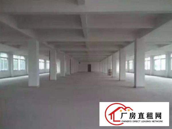 
清溪镇中心区标准厂房一楼1350平出租水电齐全形象好