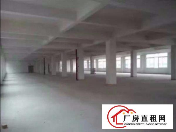 
清溪镇中心区标准厂房一楼1350平出租水电齐全形象好