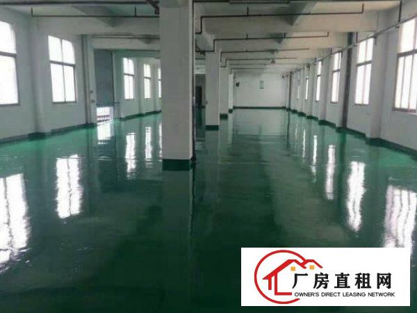
铁松工业区全新楼上1400平方厂房现成水电