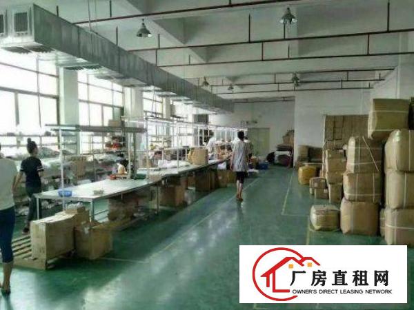 
精装电子厂房出租清溪楼上600平厂房
