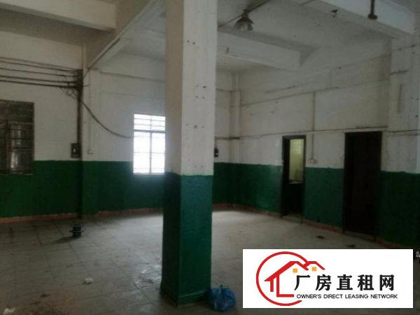 
形象好！清溪一楼1600平方厂房水电齐全现急租
