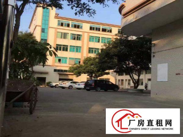 
形象好！清溪一楼1600平方厂房水电齐全现急租