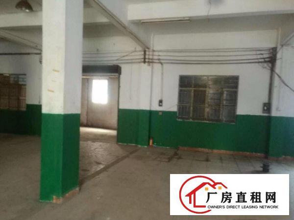 
形象好！清溪一楼1600平方厂房水电齐全现急租