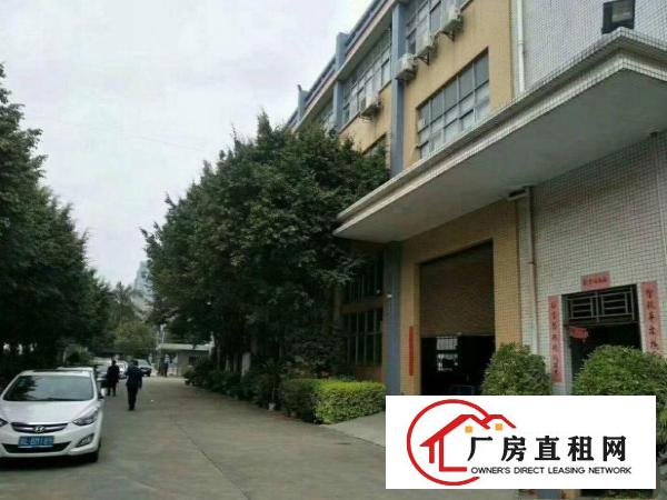 
清溪浮岗新出原房东独院4500平方厂房，水电齐全