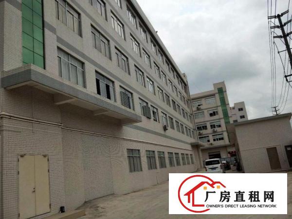 
清溪大利新出独院厂房每层1800平大小可分租
