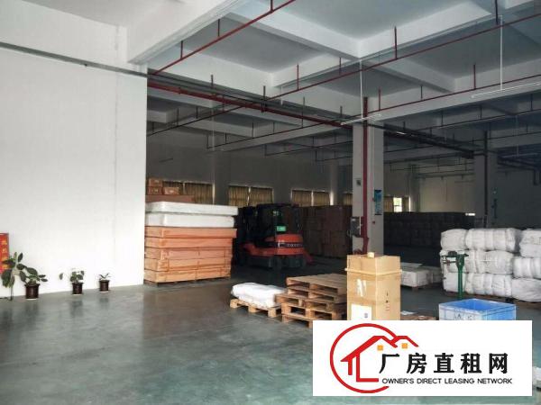 
清溪大利新出独院厂房每层1800平大小可分租