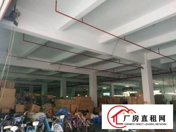 
清溪罗马空出一楼厂房2000平方，首层楼高5米