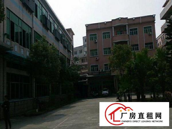 
清溪罗马空出一楼厂房2000平方，首层楼高5米
