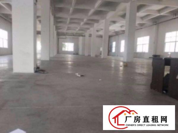 
清溪塘厦科苑城标准厂房一楼930平出租周边环境好招工易