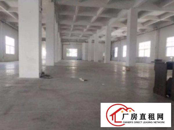 
清溪塘厦科苑城标准厂房一楼930平出租周边环境好招工易