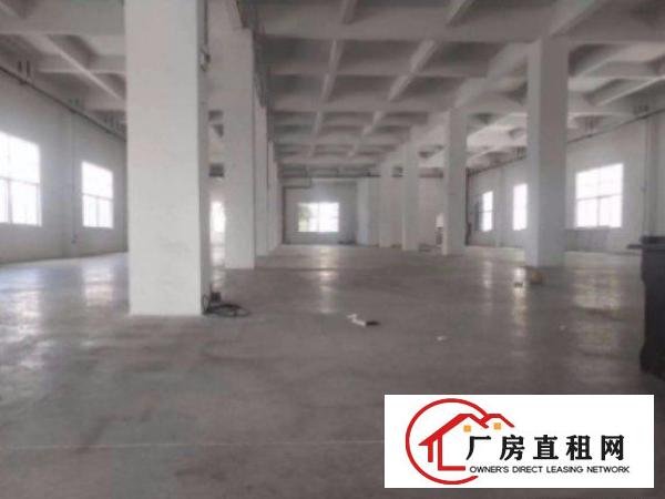 
清溪塘厦科苑城标准厂房一楼930平出租周边环境好招工易