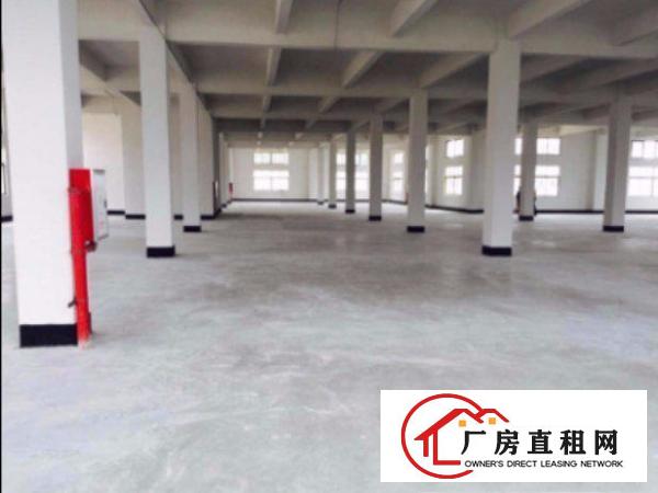 
清溪中心区标准厂房一楼1200平出租形象好，水电齐全，配电按
