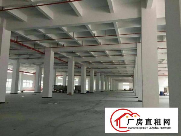 
.清大利新出标准一楼厂房1000平方高度5米