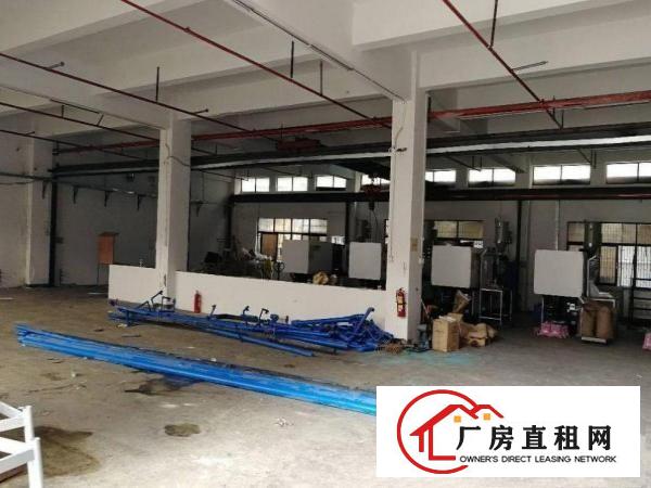 
清溪浮岗标准1楼1100平方带行车带办公室装修