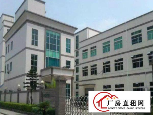 
清溪清厦现有独院厂房3000平方招租可分租空地大