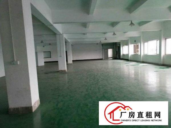 
清溪浮岗村现有独栋厂房1200平米出租现成水电