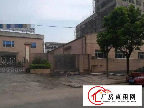 
清溪九乡工业区单一层2600平砖墙铁皮顶厂房带精装办公室