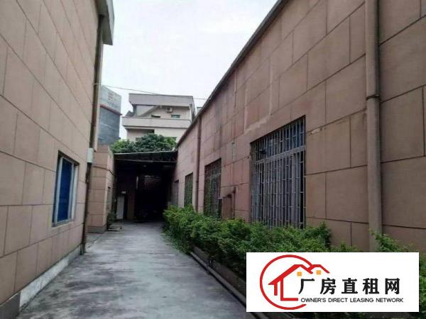 
清溪九乡工业区单一层2600平砖墙铁皮顶厂房带精装办公室