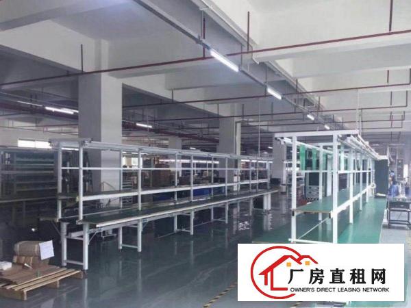 
清溪荔横附近新出经典小独院4200平米，带装修水电