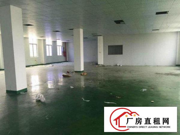 
清溪松岗工业区独院厂房2楼750平米，现成吊顶地漆