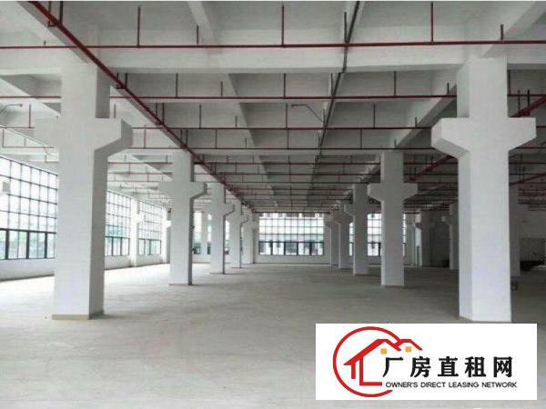 
清溪渔梁围村委独门独院厂房3200平方带装修，空地大