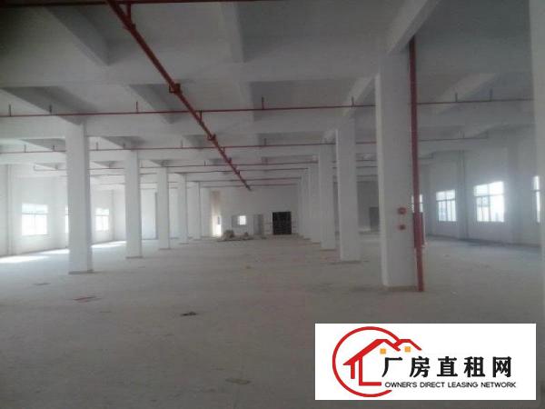 
清溪镇铁松一楼700平方房东急租