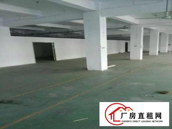 
清溪镇铁松一楼700平方房东急租