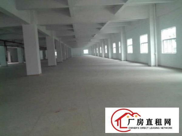 
清溪镇铁松一楼700平方房东急租