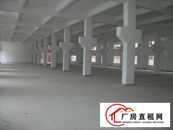 
清溪镇铁松一楼700平方房东急租