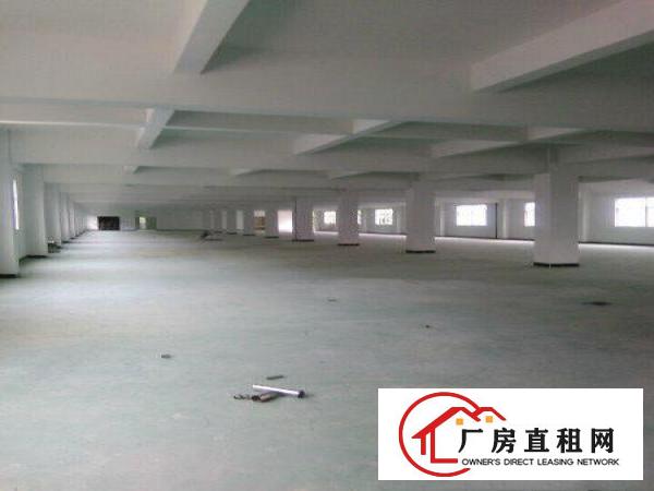 
清溪镇（浮岗一楼）800平方厂房出租