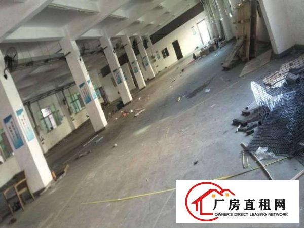 
谢坑工业园新出带办公室装修1搂850平标准厂房出租