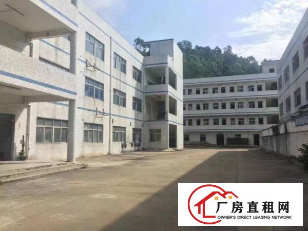 
清溪铁松工业园有一楼标准厂房900平方带办公室装修