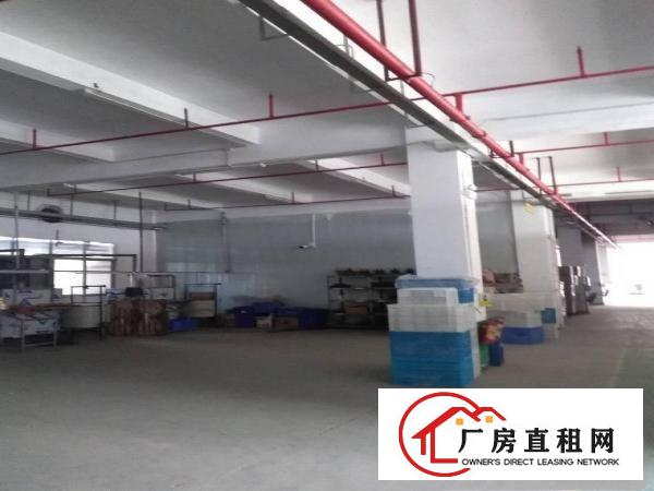 
清溪新出独院12000平方豪华装修厂房出租