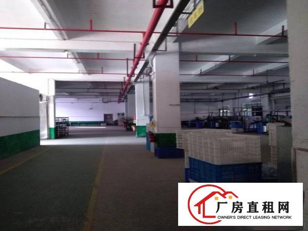 
清溪新出独院12000平方豪华装修厂房出租