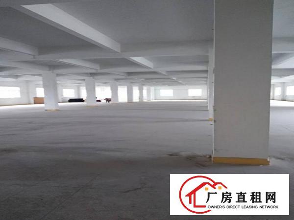 
清溪三星工业园新出5200平面积实在小独院。