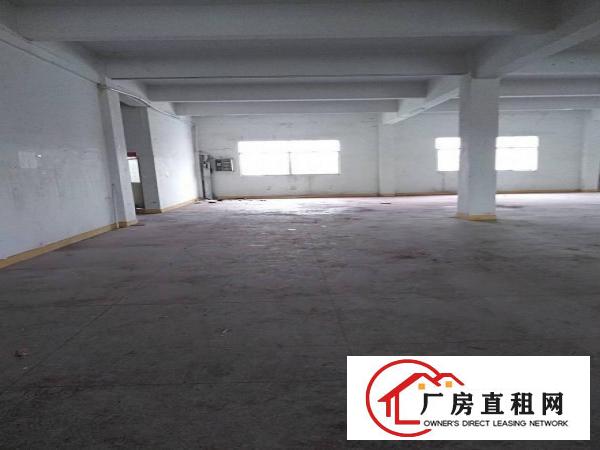 
清溪三星工业园新出5200平面积实在小独院。