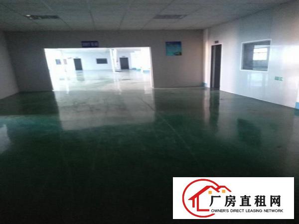 
清溪厦坭工业园原房东1300平楼上办公室装修厂房出