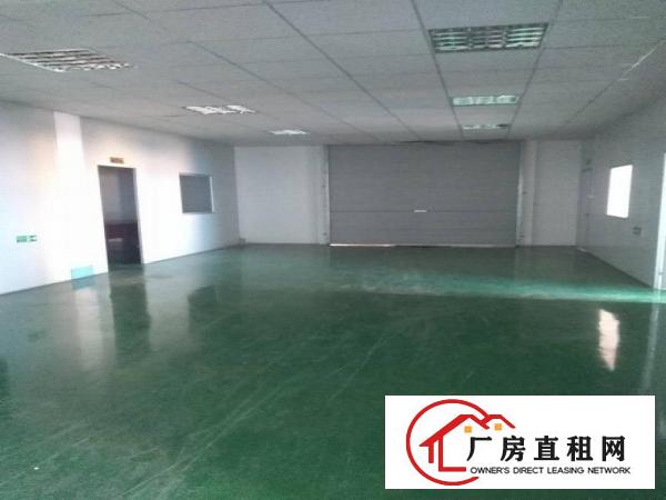 
清溪厦坭工业园原房东1300平楼上办公室装修厂房出